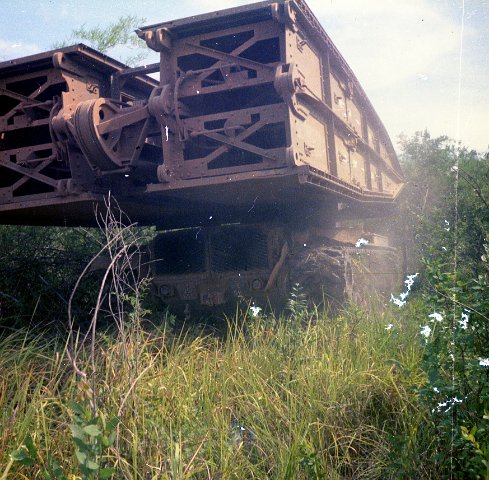 Bridge Layer