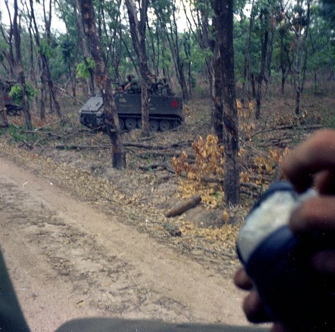 RIF in the rubber
