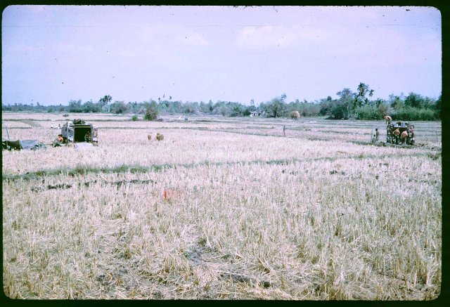Loger in the rice paddy
