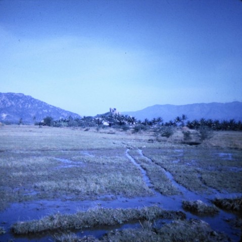 DSC3173