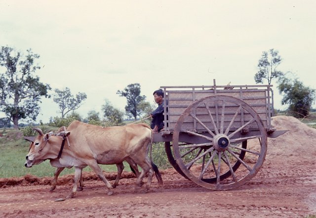 019FarmTransport