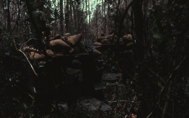 231CapturedVC rice