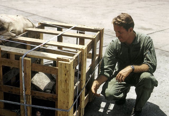 My cousin Gary Muffley,  flew Caribous into small special forces camps like Loch Ninh