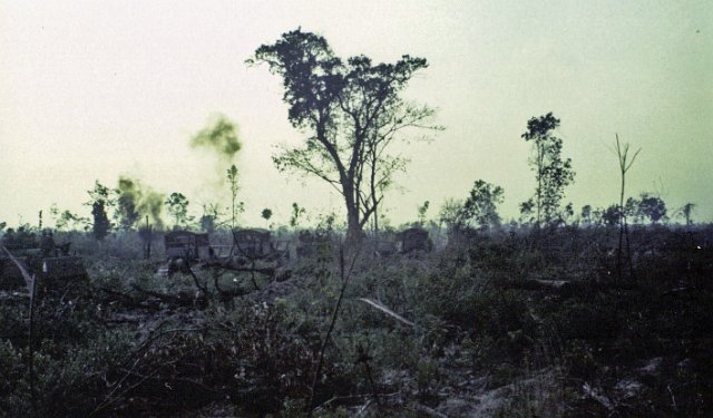Roam Plows in the Jungle That Last Tree