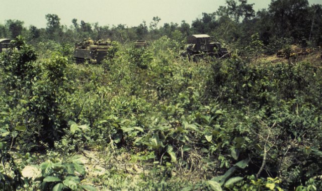 Roam Plows in the Jungle start